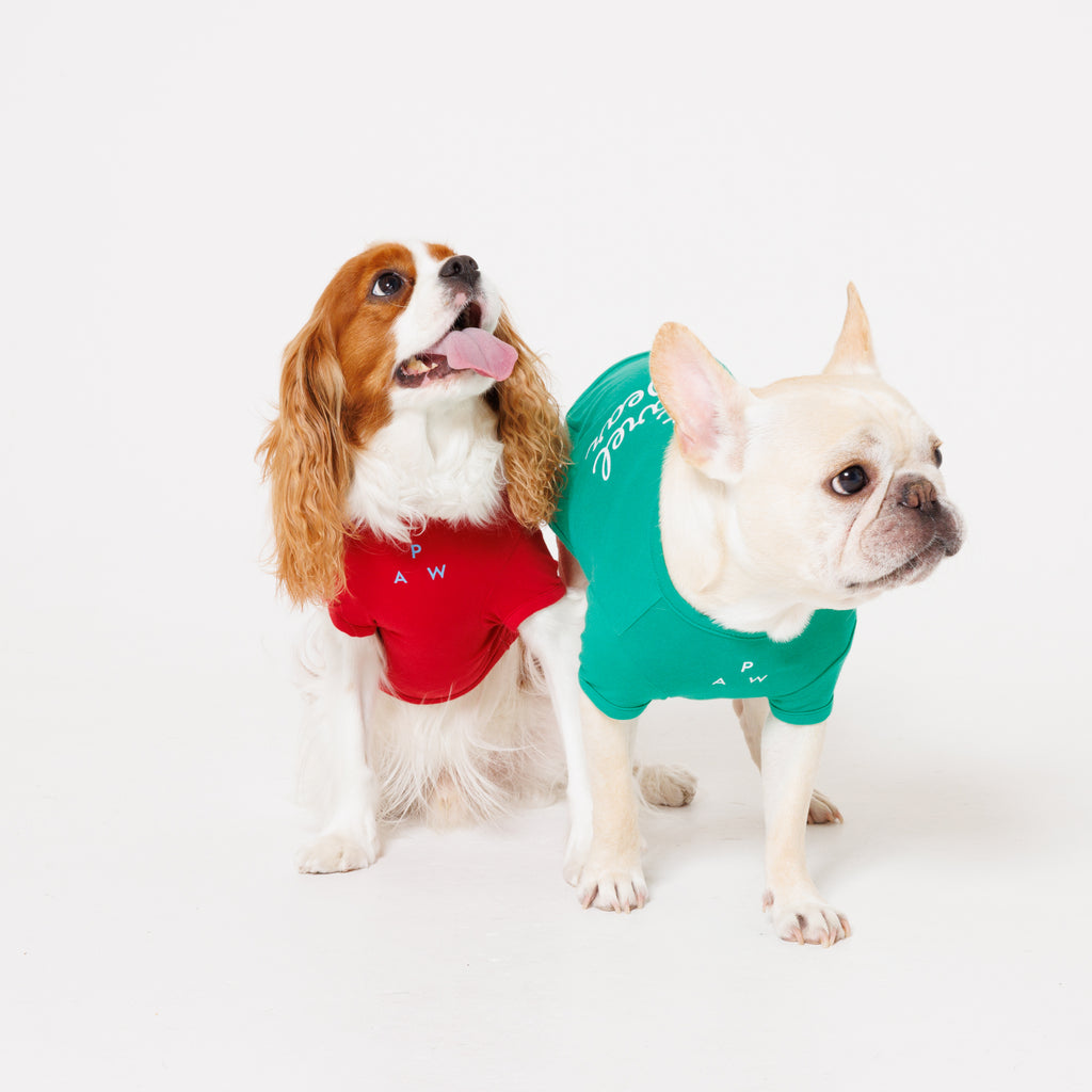 PET APPAREL WEAR LOGO B PRINT PET HALF SLEEVE T