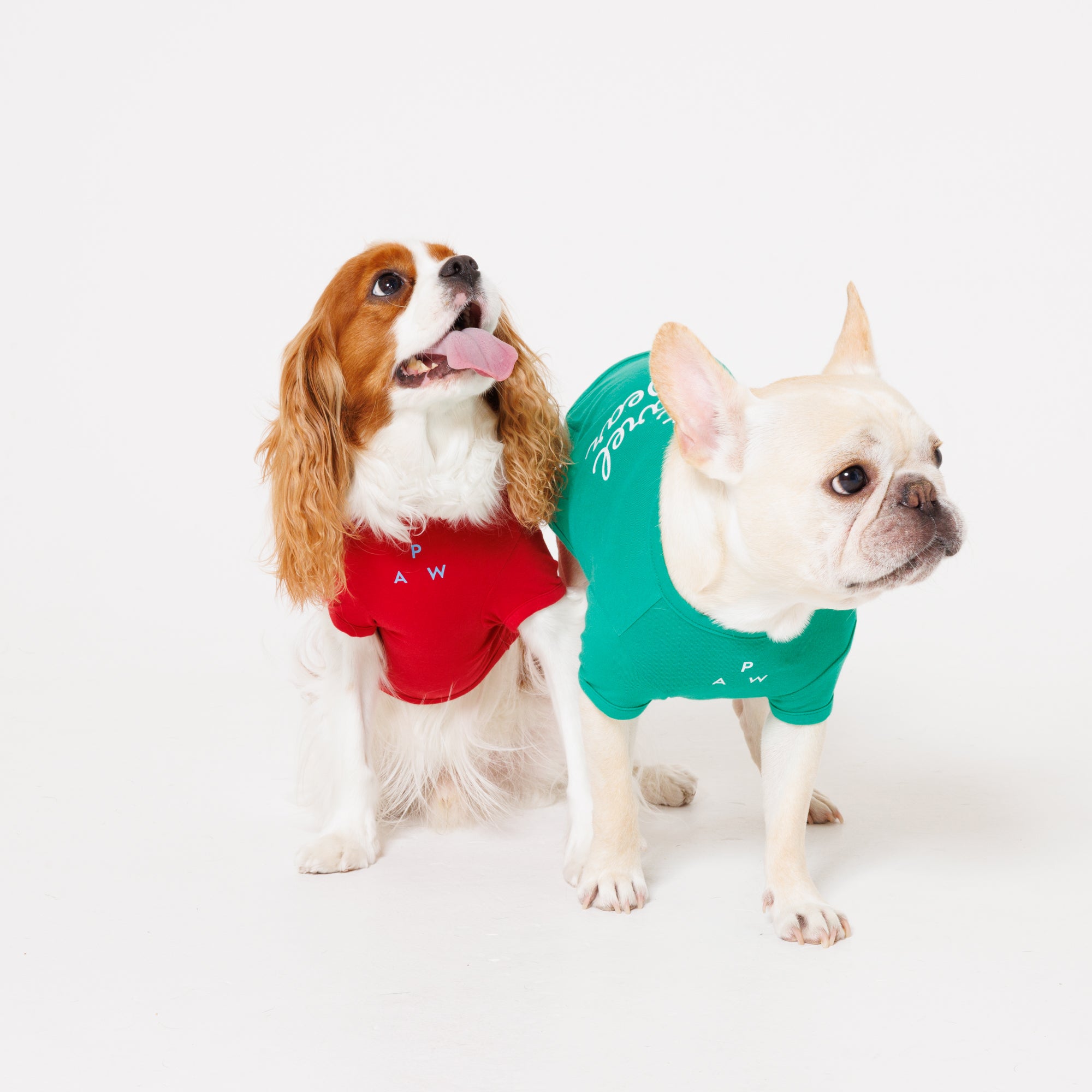 PET APPAREL WEAR LOGO B PRINT PET HALF SLEEVE T