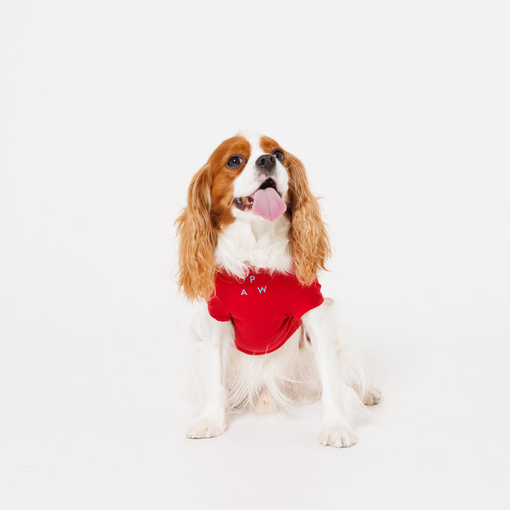 PAW TRIANGLE LOGO PET HALF SLEEVE T