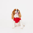 PAW TRIANGLE LOGO PET HALF SLEEVE T