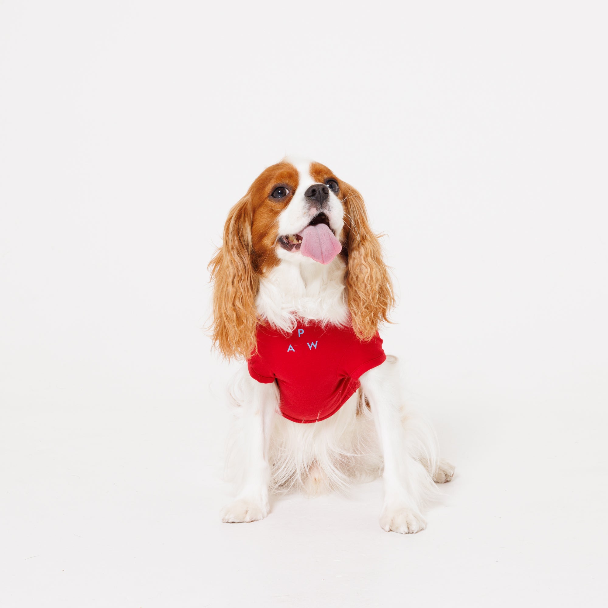 PAW TRIANGLE LOGO PET HALF SLEEVE T