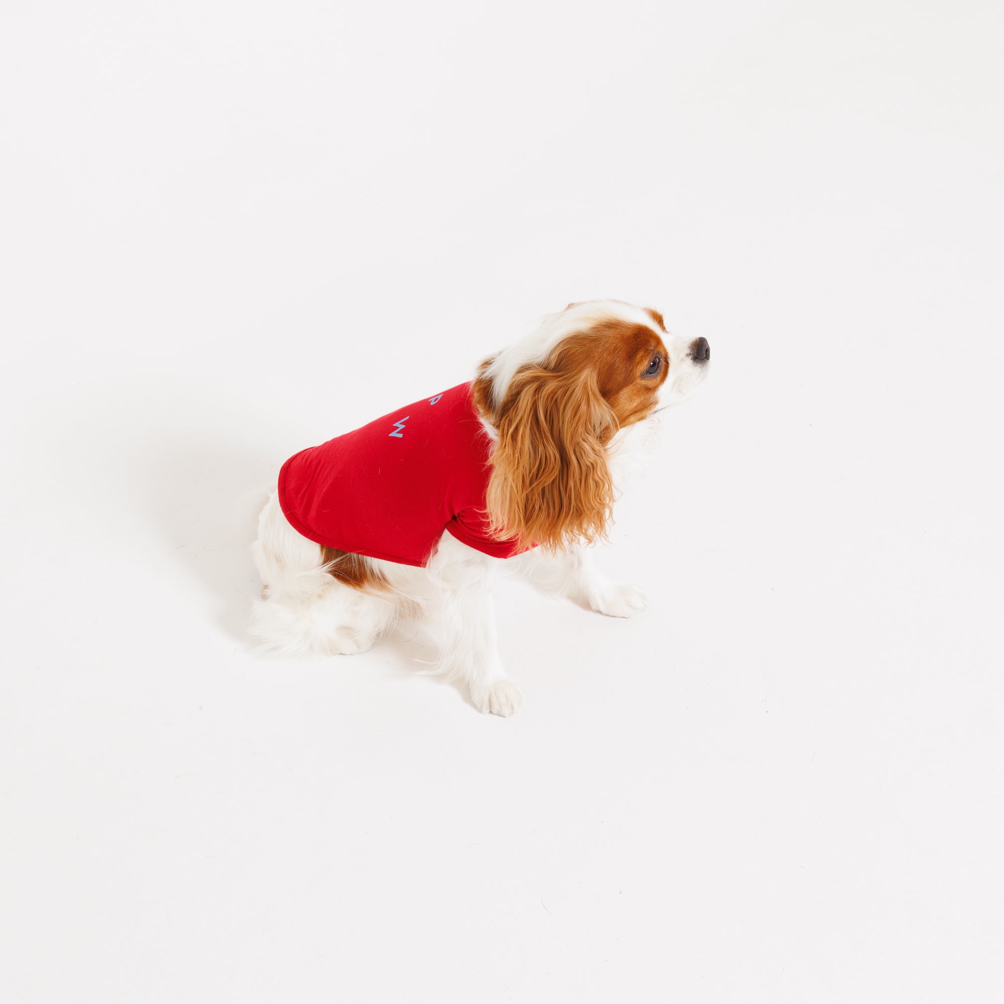 PAW TRIANGLE LOGO PET HALF SLEEVE T