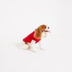 PAW TRIANGLE LOGO PET HALF SLEEVE T