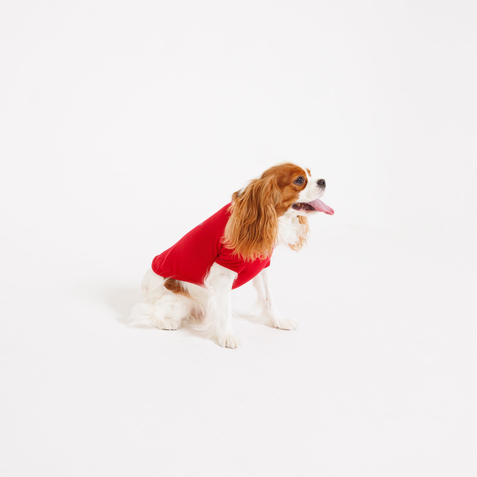 PAW TRIANGLE LOGO PET HALF SLEEVE T
