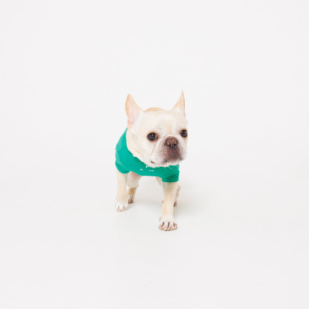 PET APPAREL WEAR LOGO B PRINT PET HALF SLEEVE T