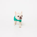 PET APPAREL WEAR LOGO B PRINT PET HALF SLEEVE T