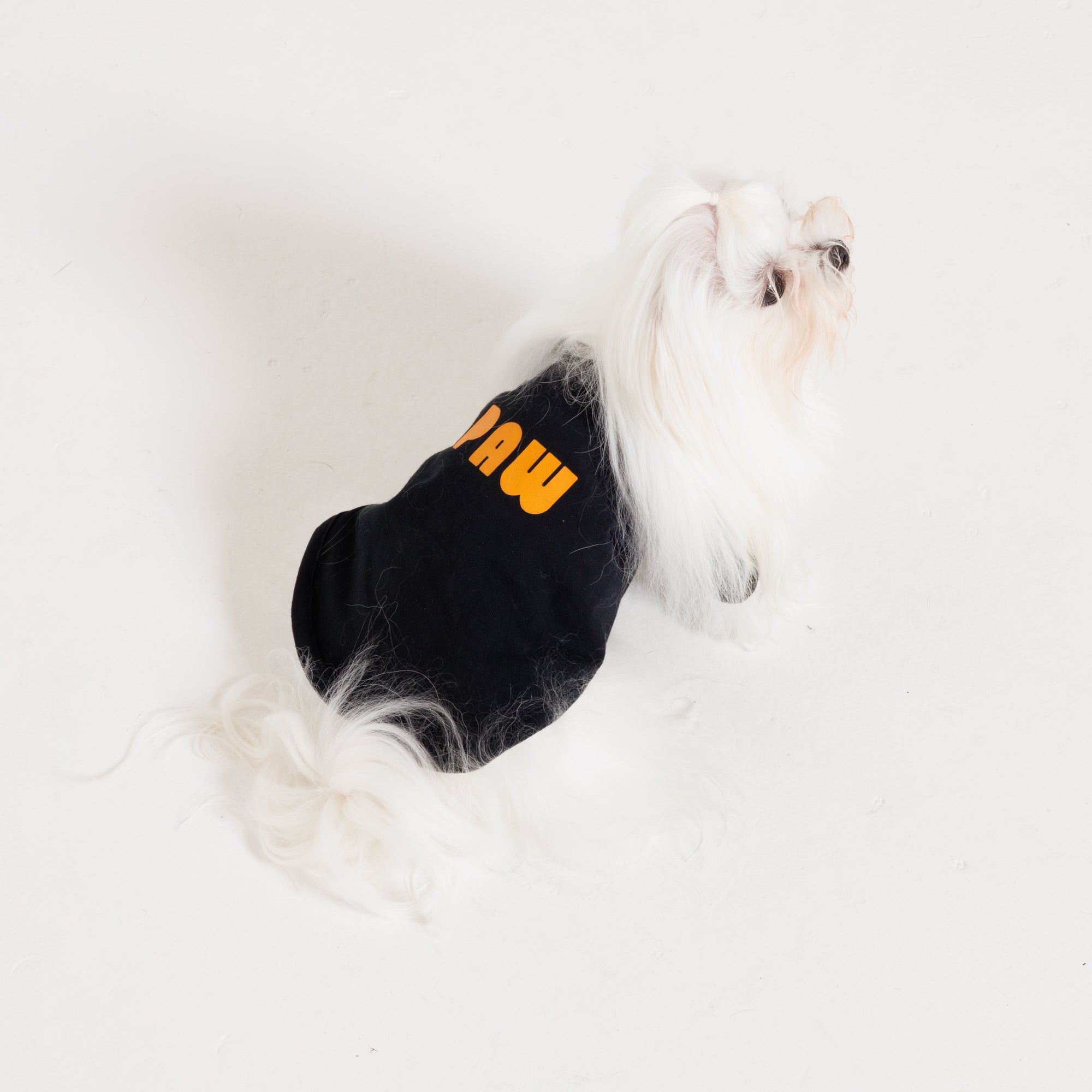 PAW  LOGO  PRINT PET HALF SLEEVE T