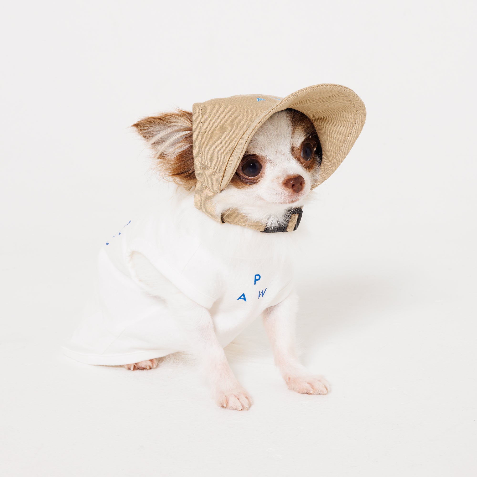 PAW TRIANGLE LOGO BEIGE