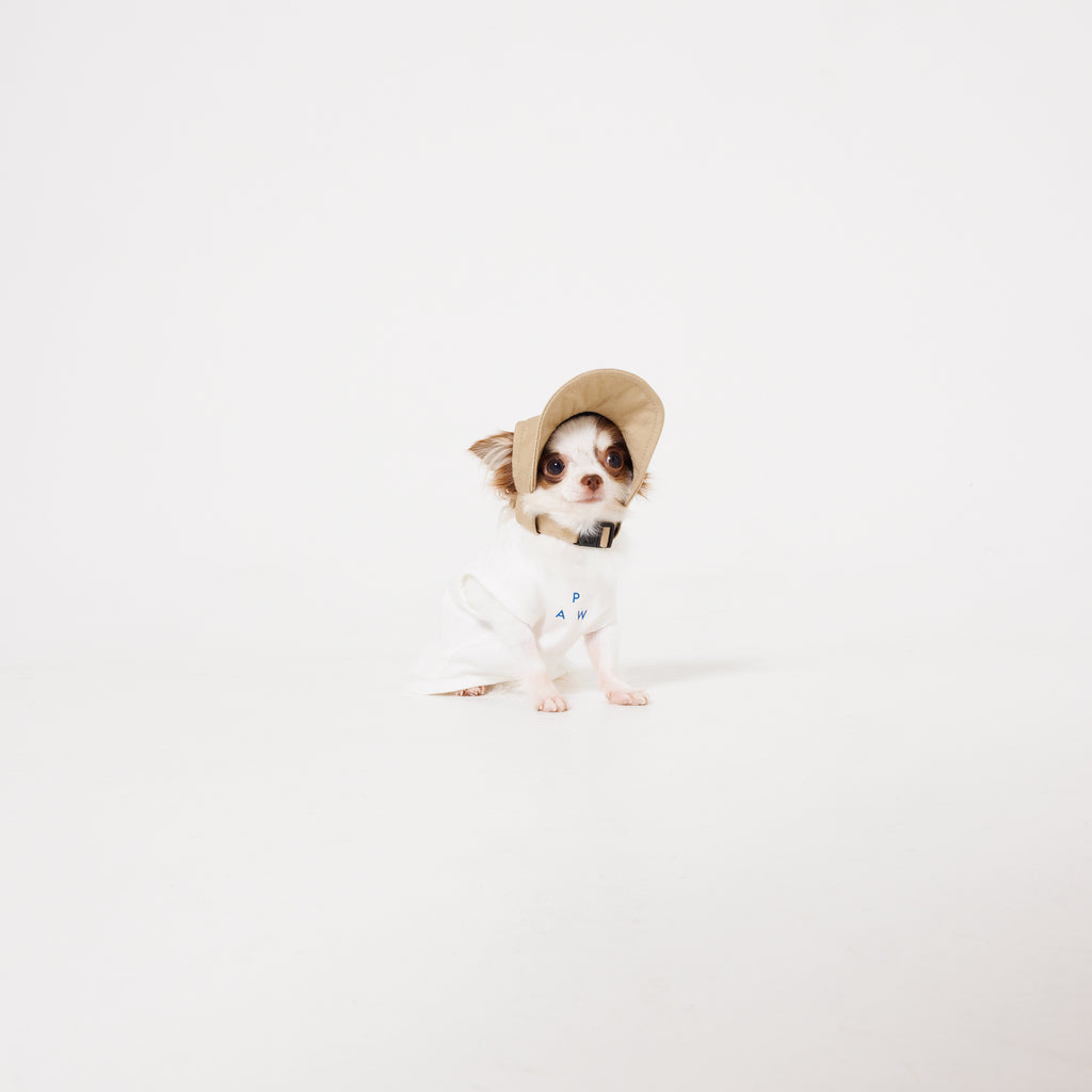 PAW TRIANGLE LOGO BEIGE