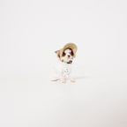 PAW TRIANGLE LOGO BEIGE