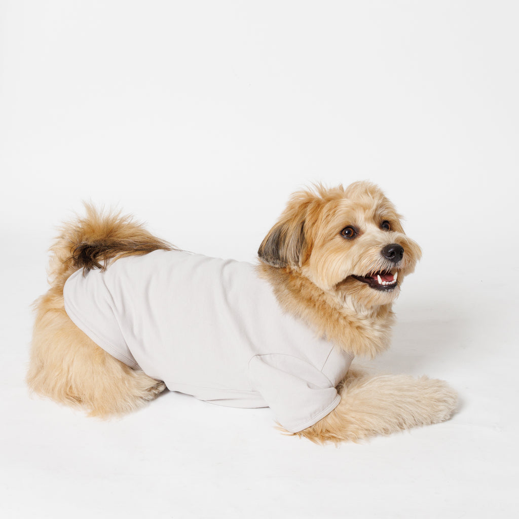 PET HALF SLEEVE T GRAY