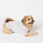 PET HALF SLEEVE T GRAY
