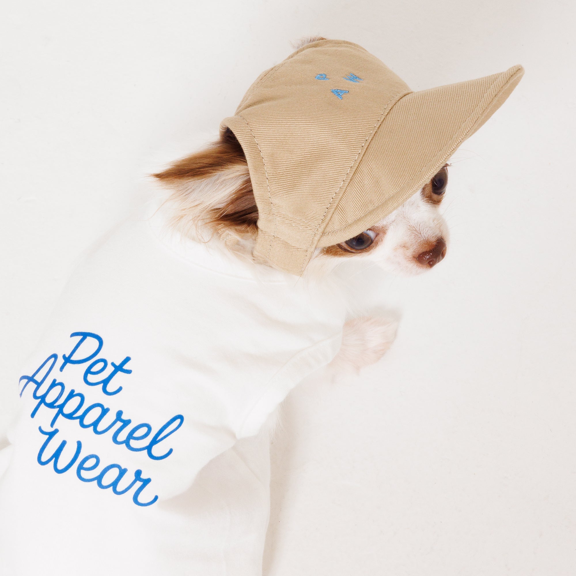 PAW TRIANGLE LOGO BEIGE