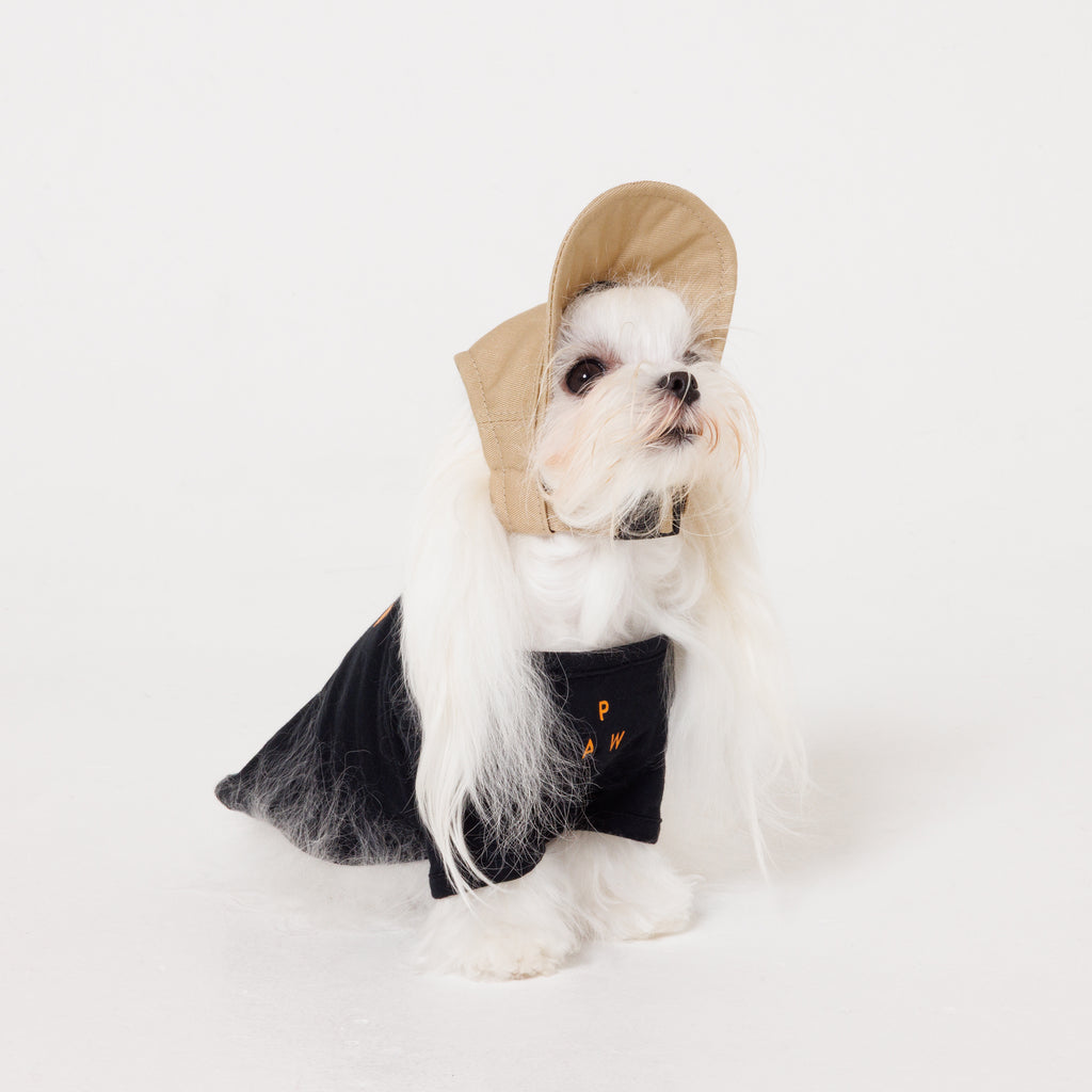 PAW TRIANGLE LOGO BEIGE