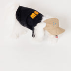 PAW TRIANGLE LOGO BEIGE