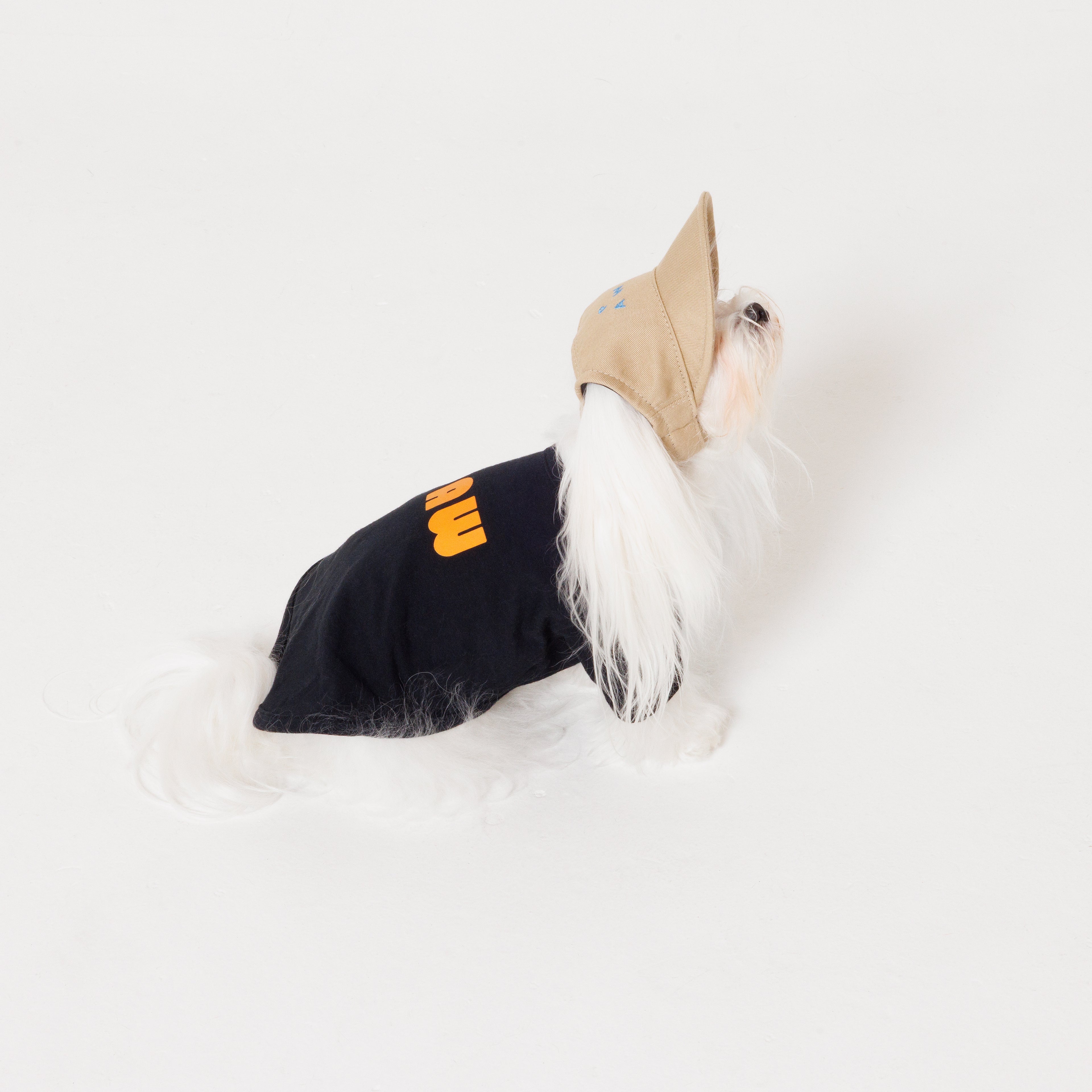 PAW TRIANGLE LOGO BEIGE