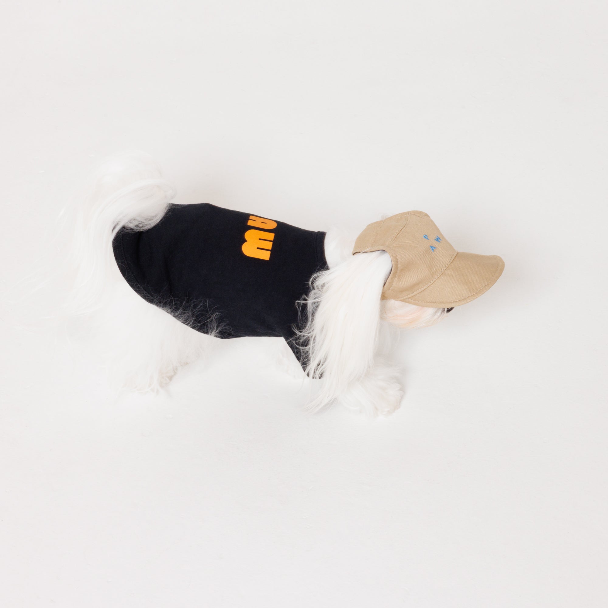 PAW TRIANGLE LOGO BEIGE