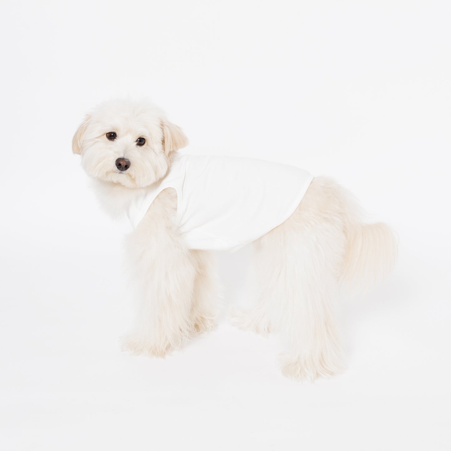 PET NO SLEEVE T WHITE