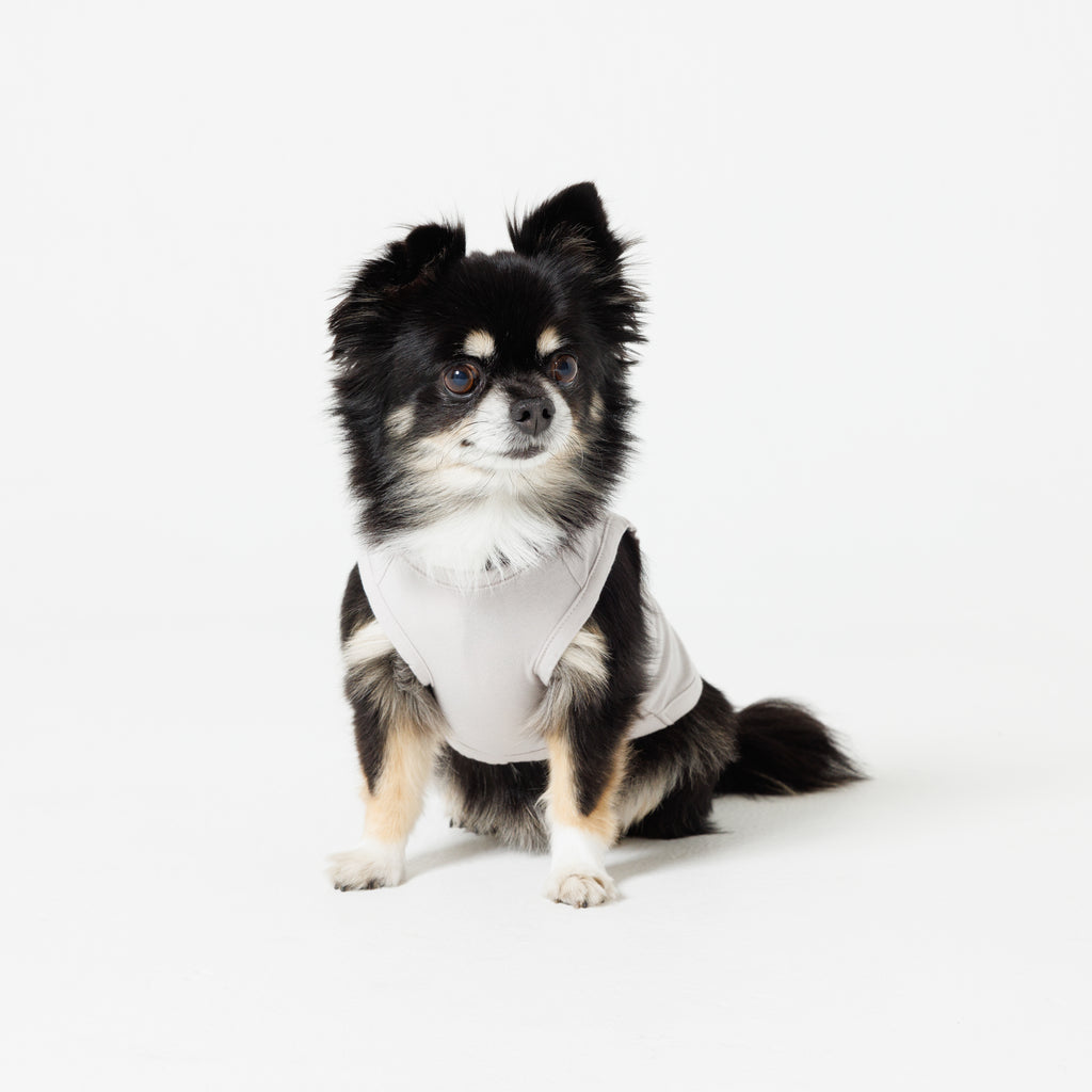PET NO SLEEVE T GRAY