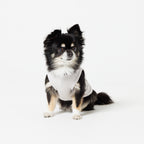 PET NO SLEEVE T GRAY