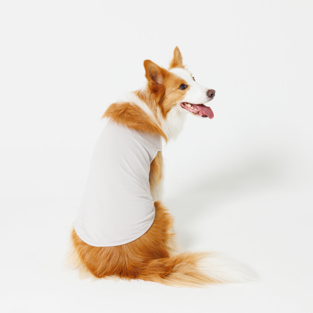 PET NO SLEEVE T GRAY