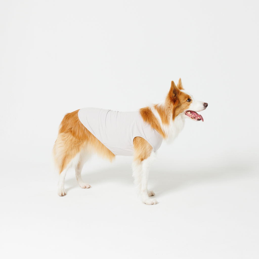 PET NO SLEEVE T GRAY