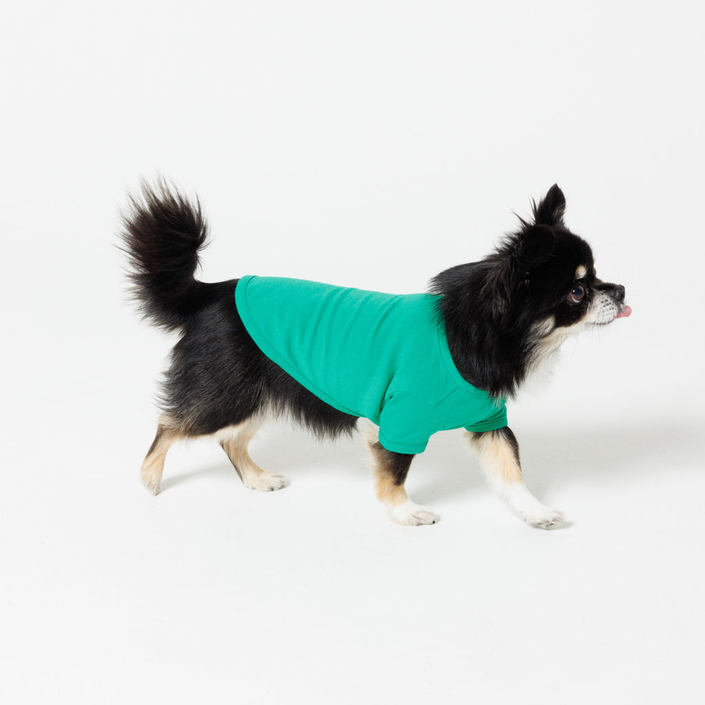 PET HALF SLEEVE T GREEN