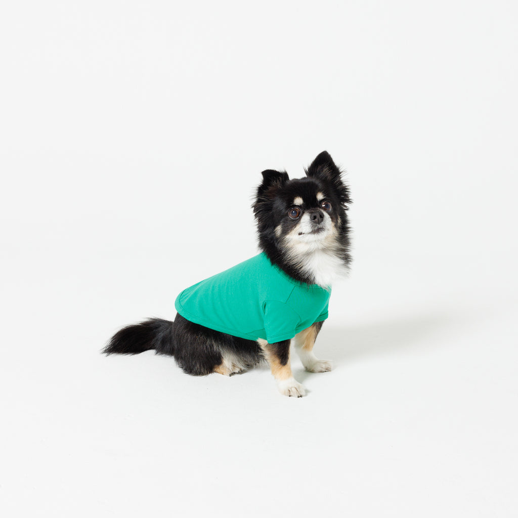 PET HALF SLEEVE T GREEN