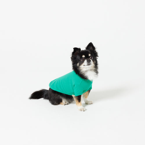 PET HALF SLEEVE T GREEN