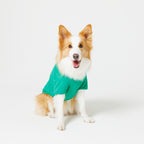 PET HALF SLEEVE T GREEN