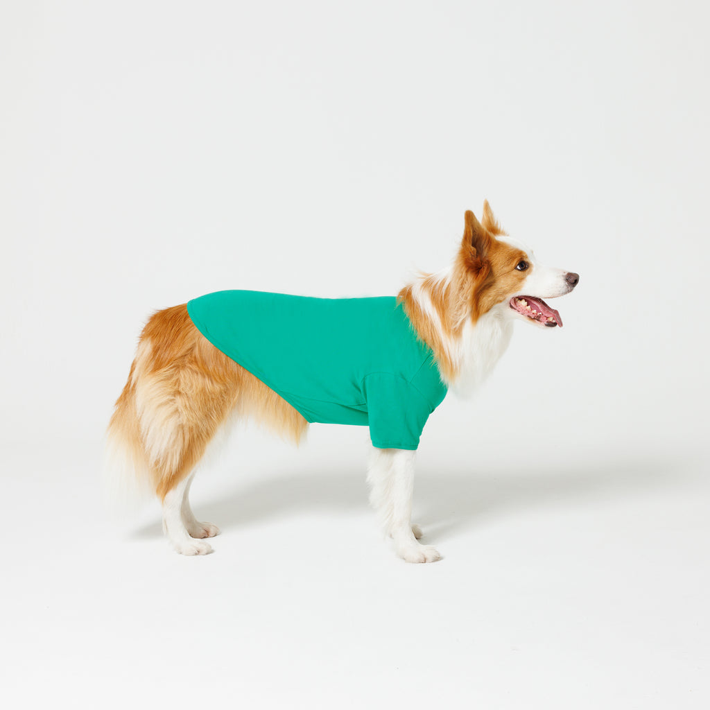 PET HALF SLEEVE T GREEN