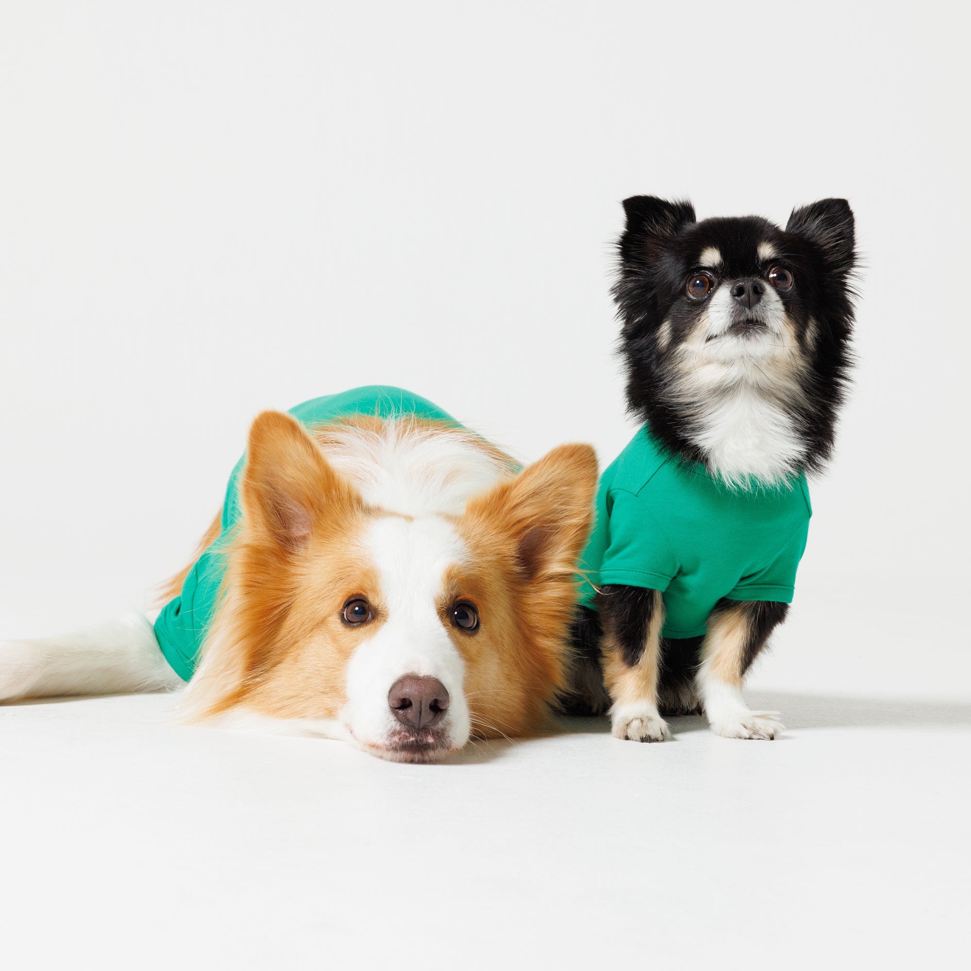 Products – PET APPAREL WEAR