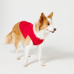 PET NO SLEEVE T RED