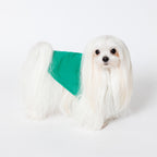 PET NO SLEEVE T GREEN