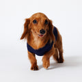 PET NO SLEEVE T NAVY