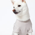 PET HALF SLEEVE T GRAY