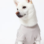 PET HALF SLEEVE T GRAY
