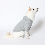 PET HALF SLEEVE FRENCH TERRY PARKA HEATHER GRAY
