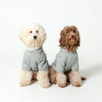 PET HALF SLEEVE FRENCH TERRY PARKA HEATHER GRAY