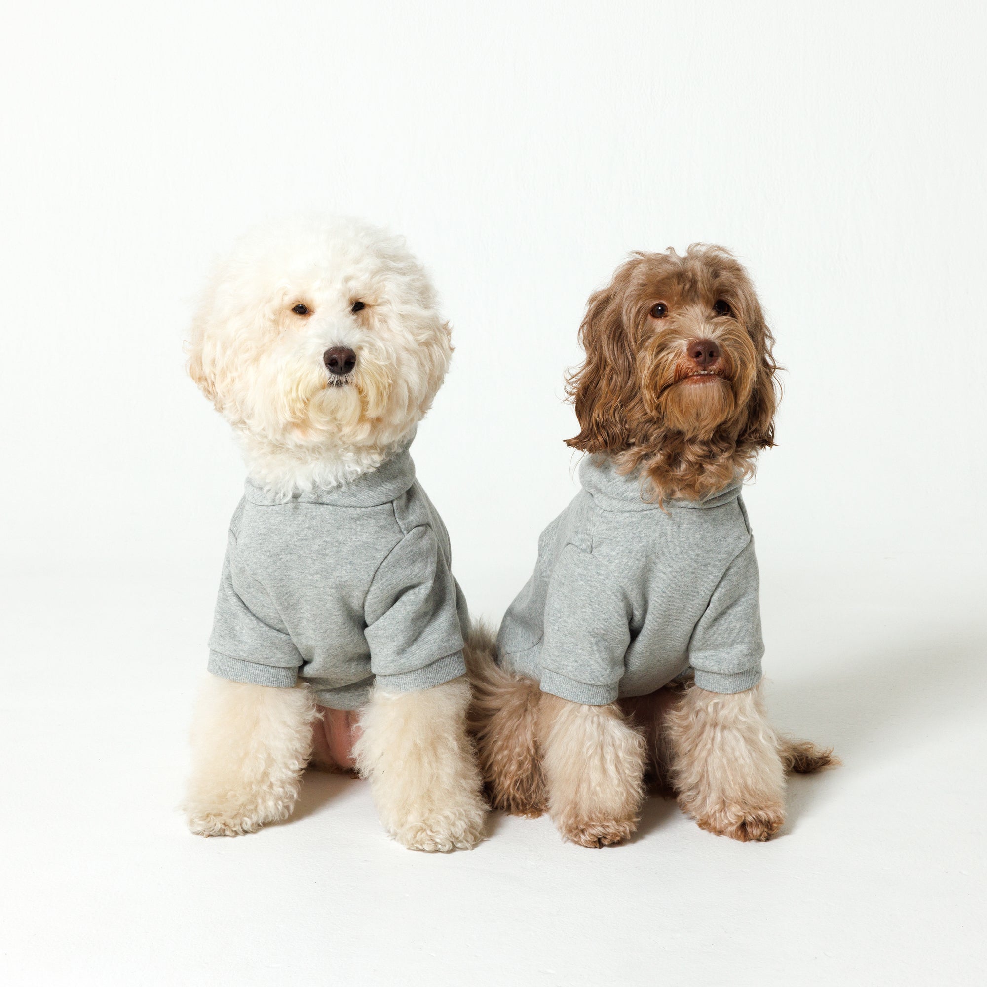 PET HALF SLEEVE FRENCH TERRY PARKA HEATHER GRAY