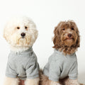 PET HALF SLEEVE FRENCH TERRY PARKA HEATHER GRAY