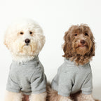 PET HALF SLEEVE FRENCH TERRY PARKA HEATHER GRAY