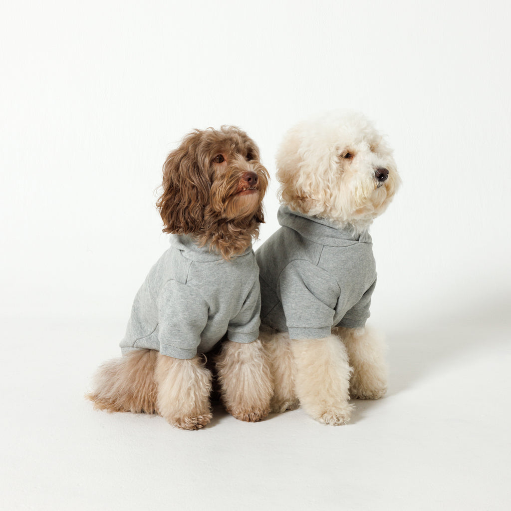 PET HALF SLEEVE FRENCH TERRY PARKA HEATHER GRAY