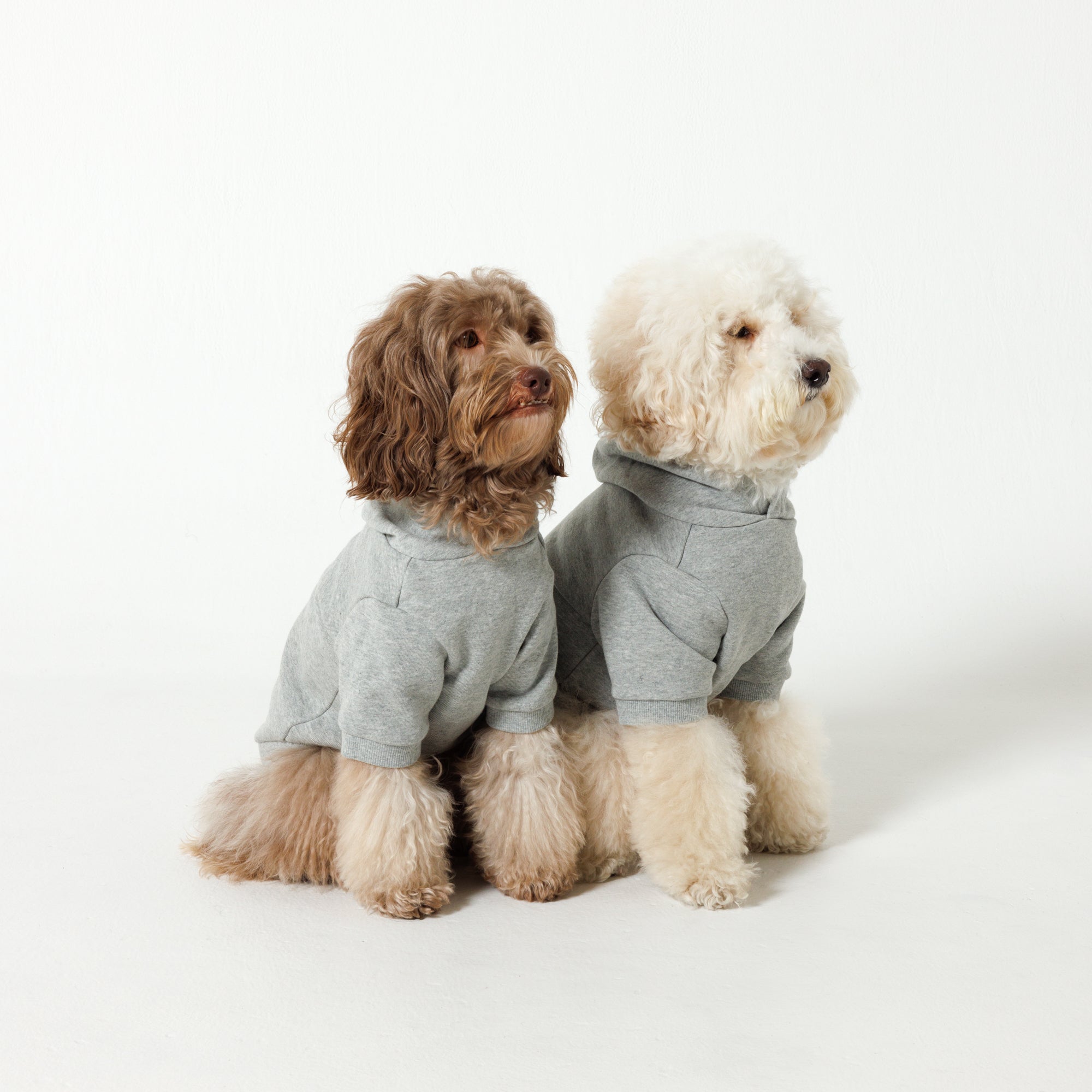 PET HALF SLEEVE FRENCH TERRY PARKA HEATHER GRAY