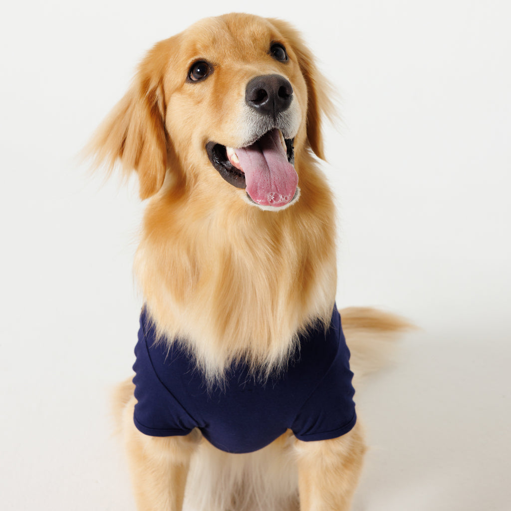 PET HALF SLEEVE T NAVY