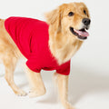 PET HALF SLEEVE T RED