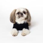 PET HALF SLEEVE T BLACK
