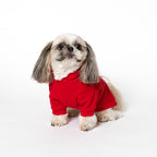 PET HALF SLEEVE FRENCH TERRY PARKA RED