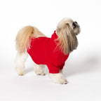 PET HALF SLEEVE FRENCH TERRY PARKA RED