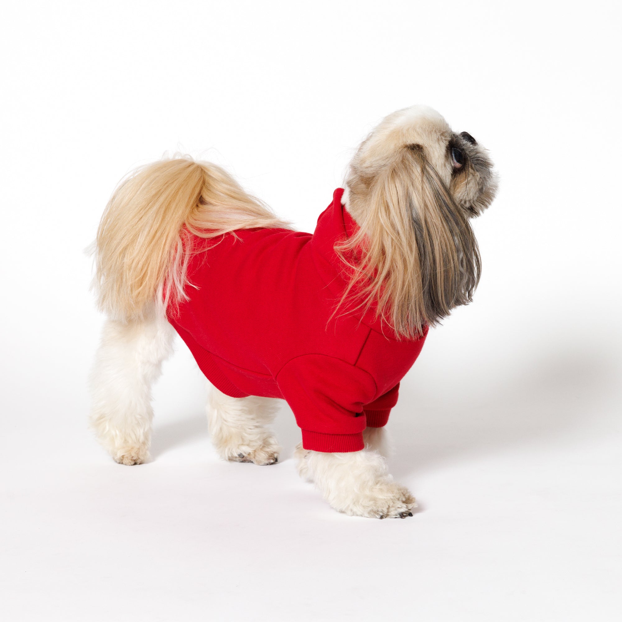 PET HALF SLEEVE FRENCH TERRY PARKA RED
